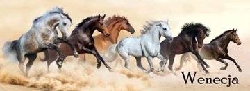 TORBA KLAPKA DUZA A4 KOŃ 35 MUSTANG SZKOLNA POLSKA