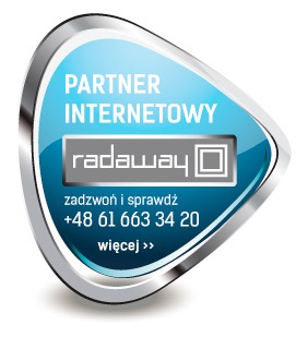 RADAWAY Furo Black DWD 180 прозрачные двери