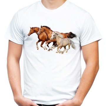 Koszulka z końmi koniem jeździecka t-shirt L- HQ