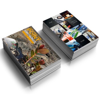 ОТКРЫТКИ В ФОЛЬГЕ открытка открытки 1000 шт.