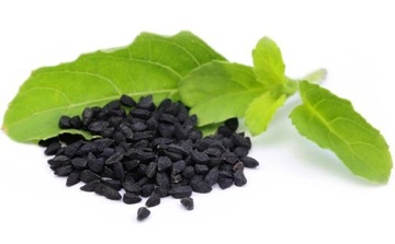 CZARNUSZKA SIEWNA NIGELLA SATIVA 0,5 GRAMA NASION