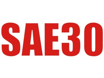 SAE30 OIL 0,6л для бензинового двигателя газонокосилки