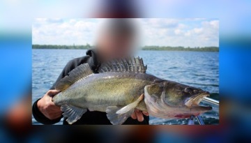 ДЕРЖАТЕЛЬ КАРДАНА SPRO T-GIMBAL ROD