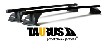 Базовый багажник TAURUS CarryUp со встроенным рельсом