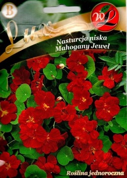 НАСТУРЦИЯ ИЗ МАХАГОНИ JEWEL 5 г МАХАГОНОВЫЙ ЦВЕТ 'ЛЕГУТКО