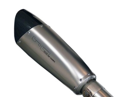 SILENCER EXHAUSTION HP CORSE YAMAHA FZ8 10/15 - milautoparts-fr.ukrlive.com