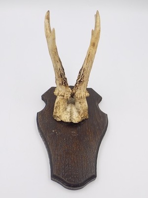 stare PAROSTKI, rogi