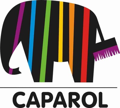 CAPAROL 947 KULKA KRYSZTAŁOWA SZKLANA DO ŻYWIC