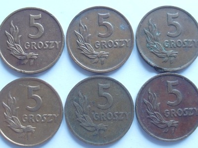 Moneta 5 gr 1949 r brąz b. ładna