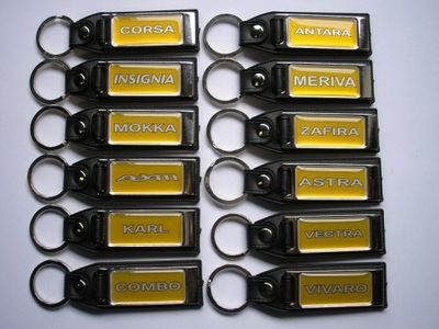 KEYRING OPEL ADAM ANTARA COMBO CORSA MERIVA MOKKA INSIGNIA VECTRA ZAFIRA - milautoparts-fr.ukrlive.com