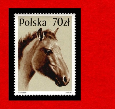 3047 zn cz** 1989 Konie