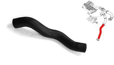 BUSE FIL TUYAU TURBO RADIATEUR DE RADIATEUR LOGAN DUSTER 1.5 DCI 2007- - milautoparts-fr.ukrlive.com