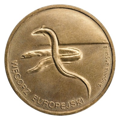 Moneta 2 zł Węgorz europejski