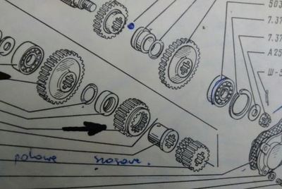 7.37.120 WHEEL 2 I 4 RUN Z36 T25 T-25 GEAR ZAHNRAD PIGNON ШЕСТЕРНЯ PINON - milautoparts-fr.ukrlive.com