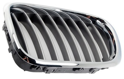 GRILLE DEFLECTOR GRILLE RADIATOR GRILLE BMW X5 E53 99-03 LEFT - milautoparts-fr.ukrlive.com