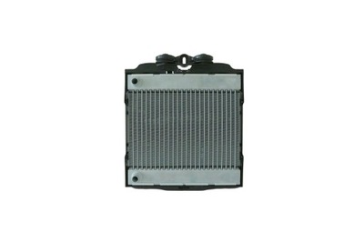 RADIATEUR BMW 6 F12 F13 F06 7 F01 F02 17117806190 - milautoparts-fr.ukrlive.com