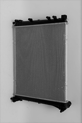 FIAT PANDA III 12+1,3/0,9 RADIATOR WATER RADIATOR - milautoparts-fr.ukrlive.com