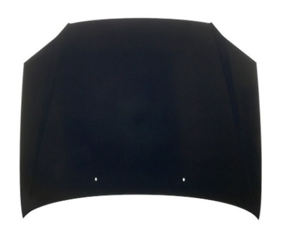 HOOD HYUNDAI ACCENT 08.02-08.06 - milautoparts-fr.ukrlive.com