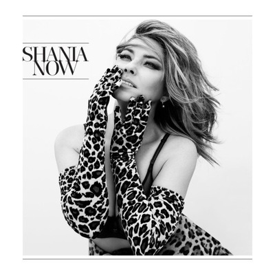 Now Shania Twain CD OUTLET