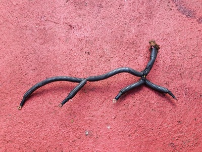 Електропроводка свічка master ii movano 3.0 dci zd3 фото №1