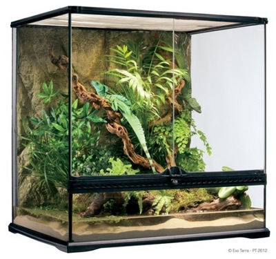 Terrarium szklane MEDIUM, 60x45x60cm