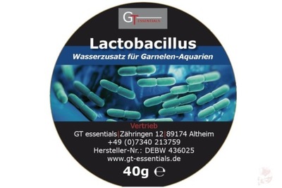 GT Lactobacillus bakterie beztlenowe 10 e-krewetki