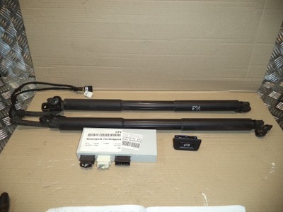 Bmw 3 f31 амортизатор электрический крышки + модуль фото №1