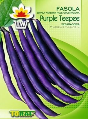 Toraf Fasola Purple Teepee 30g fioletowa