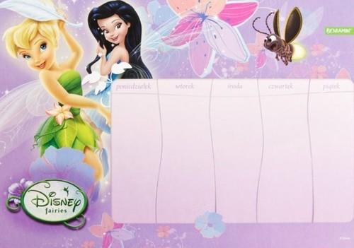 ПЛАН УРОКА А4 С МАГНИТОМ DISNEY FAIRY