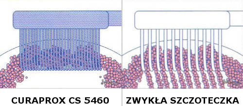 Зубная щетка CURAPROX CS 5460 - Виолончель