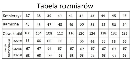 МУЖСКАЯ РУБАШКА РАЗМЕР 42 176/182 С КОРОТКИМ РУКАВОМ