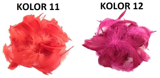 PIÓRA PIÓRKA MIX 25 SZT PIÓRO DEKORACYJNE 23xKOLOR