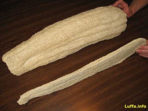 Натуральная растительная губка Luffa Loffah для купания