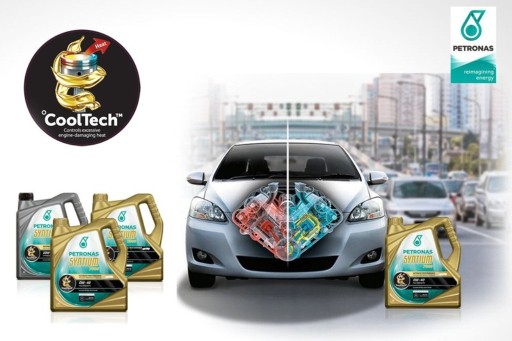 PETRONAS SYNTIUM 5000 XS 5W-30 1л BMW OIL, dexos2