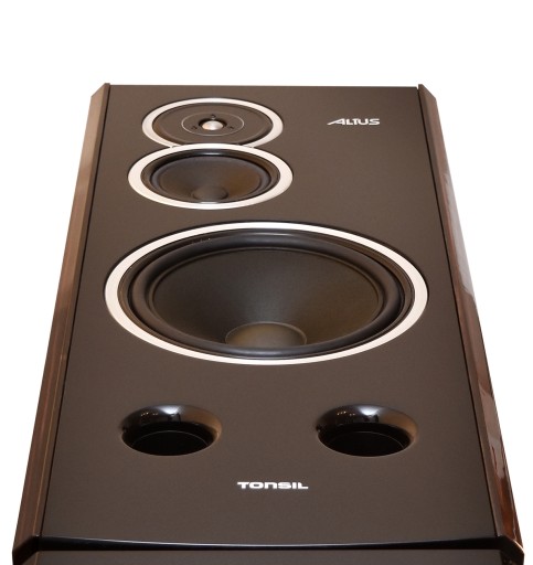 Kolumny Tonsil ALTUS 380 S Czarne / Para