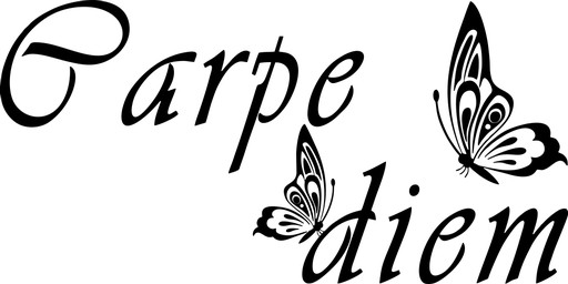 Naklejki na ścianę napisy samoprzylepne do sypialni Carpe diem 140 cm