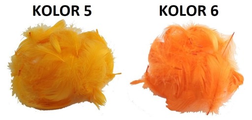 PIÓRA PIÓRKA MIX 25 SZT PIÓRO DEKORACYJNE 23xKOLOR