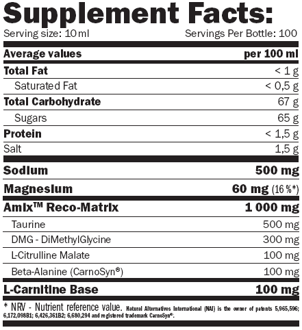 Amix Champion Sports Fuel 1000 мл Изотоническое