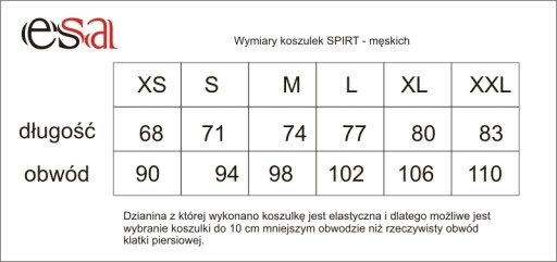 Футболка для бега ПОЛЬША - размер L - мужская