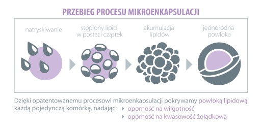 Innowacyjny Synbiotyk! KIDS BALANCE Aliness MOCNY