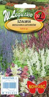 SZAŁWIA MIESZANKA GATUNKÓW-MIODODAJNA, WABI MOTYLE