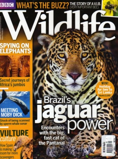 WILDLIFE VOL 34 NR 10 9/2016 UK