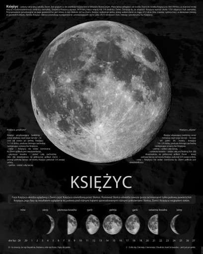 Fazy Księżyca Informacje - plakat 40x50 cm