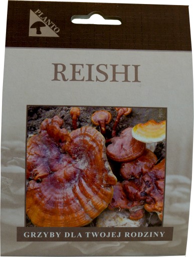 REISHI Grzybnia na kołkach GRZYBY LECZNICZE