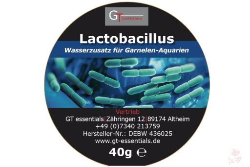 GT Lactobacillus bakterie beztlenowe 2g e-krewetki