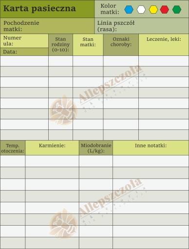 Karta pasieczna DUŻA FOLIOWANA WIELOLETNIA zielona kwadrat 1 szt