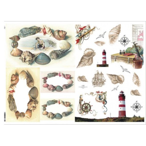 Papier do decoupage KLASYCZNY A4 D0437M - muszle