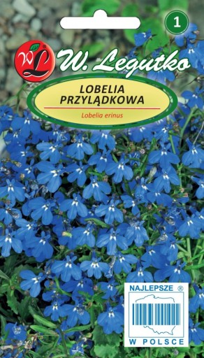 Lobelia przylądkowa, Stroiczka niebieska nasiona