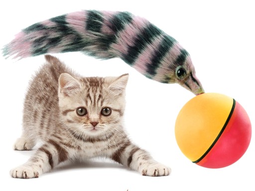 ZABAWKA BIEGAJĄCA FRETKA WEAZEL BALL DLA KOTA PSA