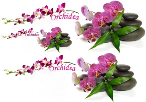 Papier ryżowy 25g orchidea storczyk kwiaty